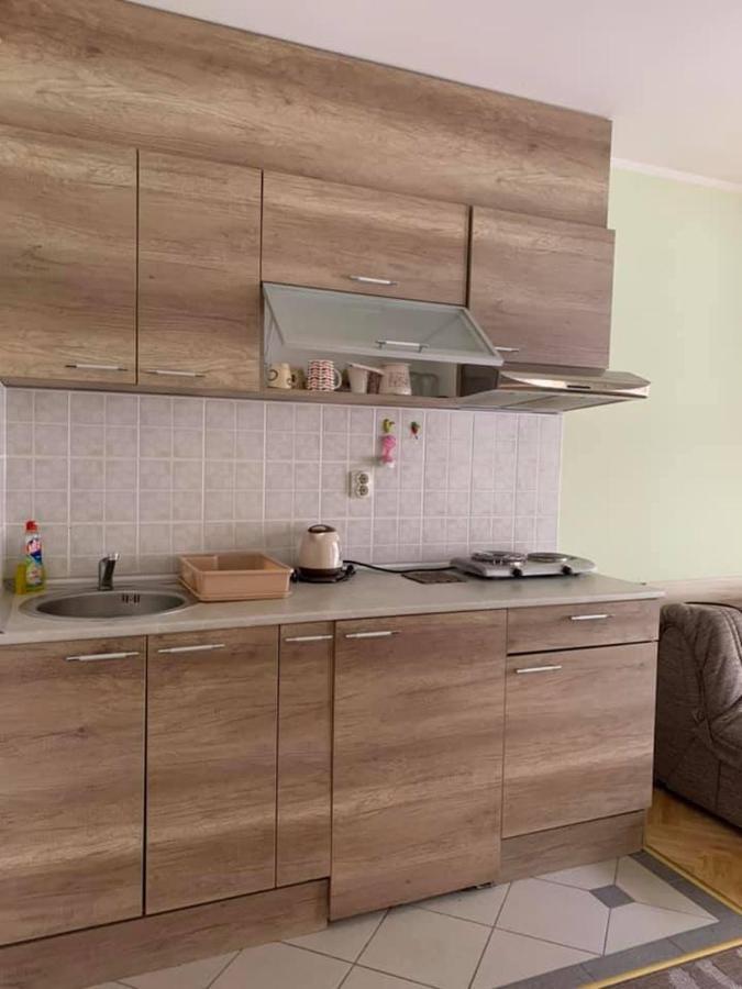 Apartmani Micic วรินรัชกา บานยา ภายนอก รูปภาพ