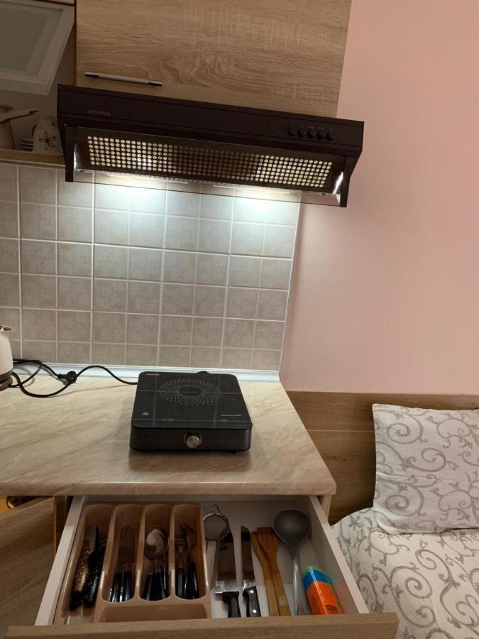 Apartmani Micic วรินรัชกา บานยา ภายนอก รูปภาพ